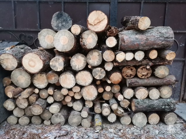 Заготовка дров в Чувашии