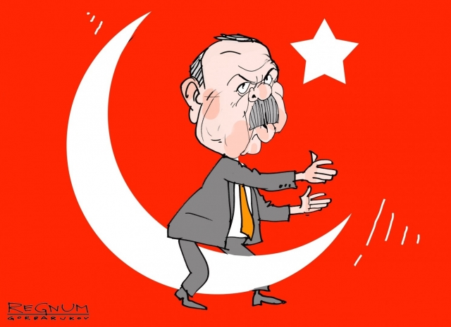 Эрдоган. Александр Горбаруков © ИА REGNUM