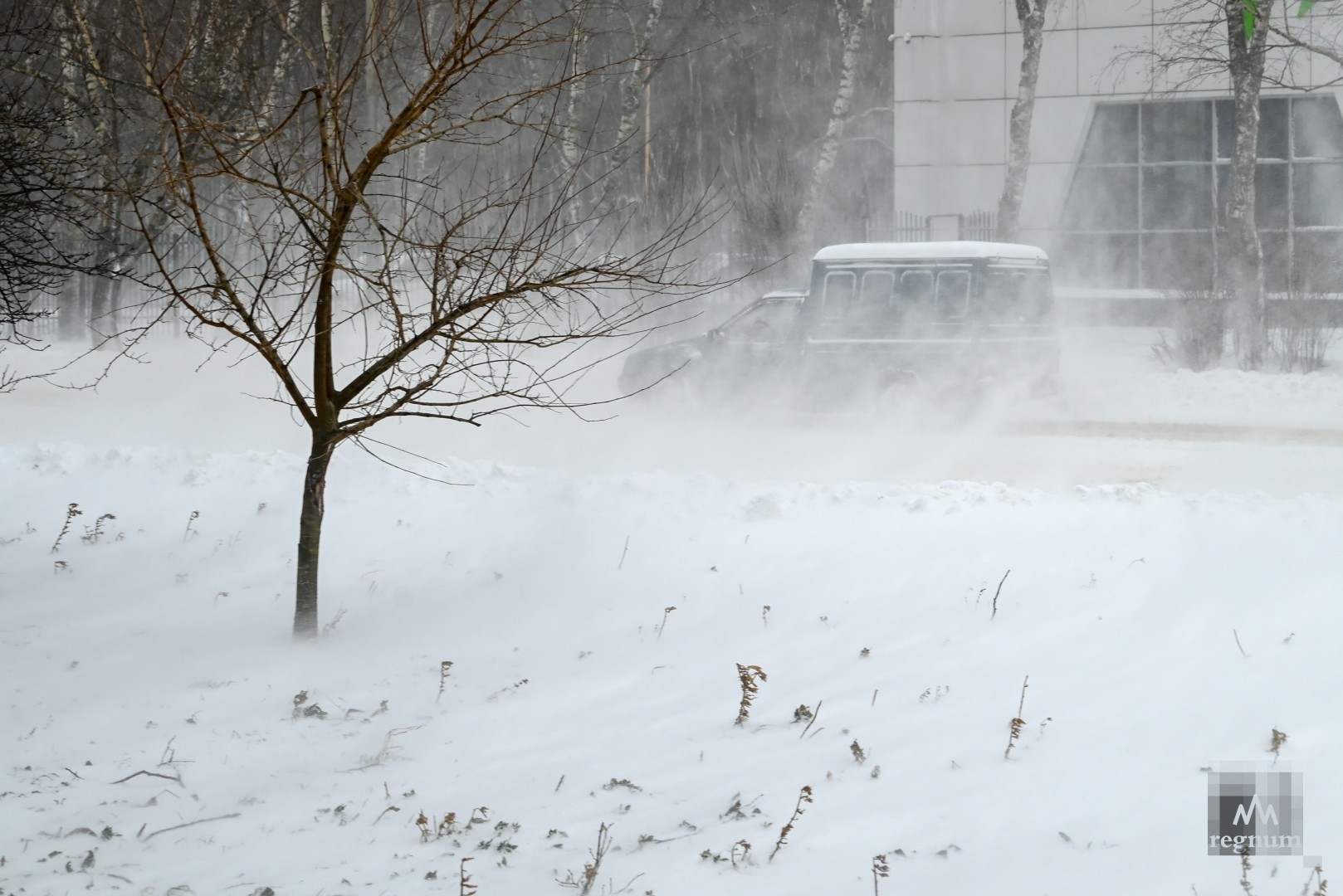 Сильный ветер и снегопад на Ставрополье