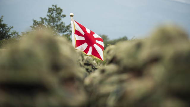 Флаг Сил самообороны Японии 