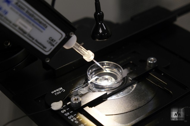 Измерение единичных клеток с помощью нанокапиллярного сенсора 