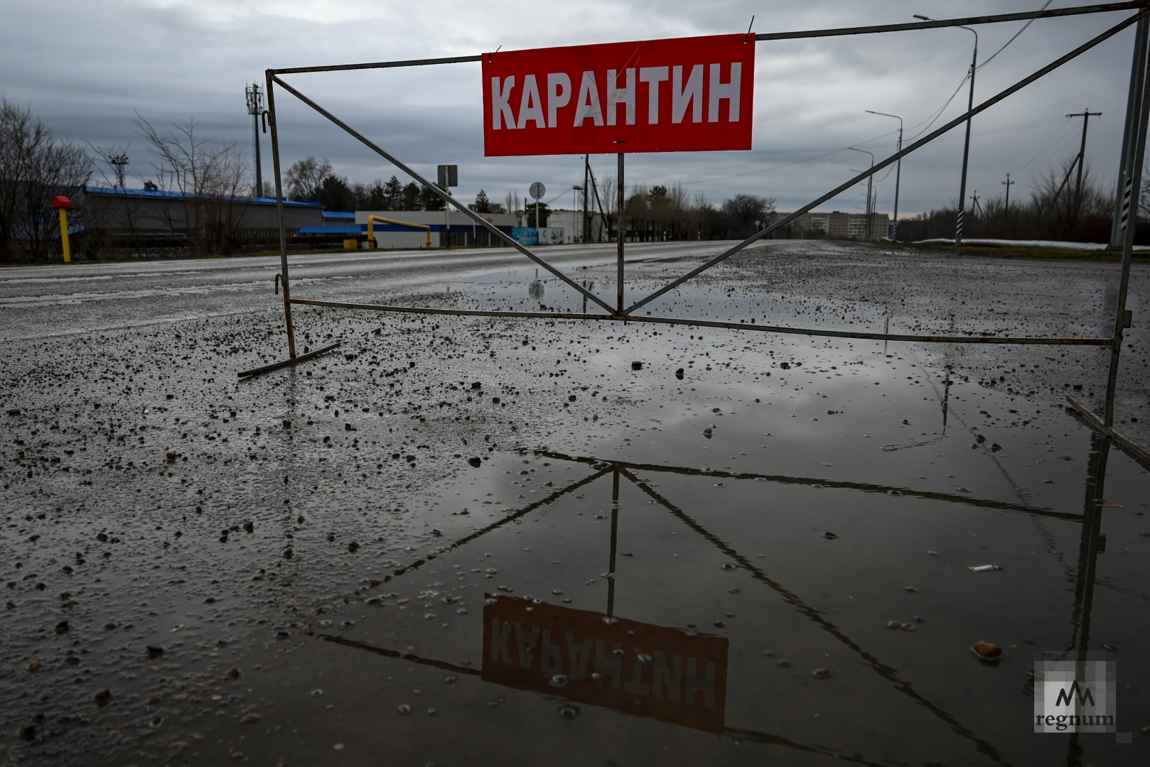 Погода птичье изобильненский. Карантин Ставрополь. Птичий грипп Ставрополье. Птичий грипп на Ставрополье 2022.