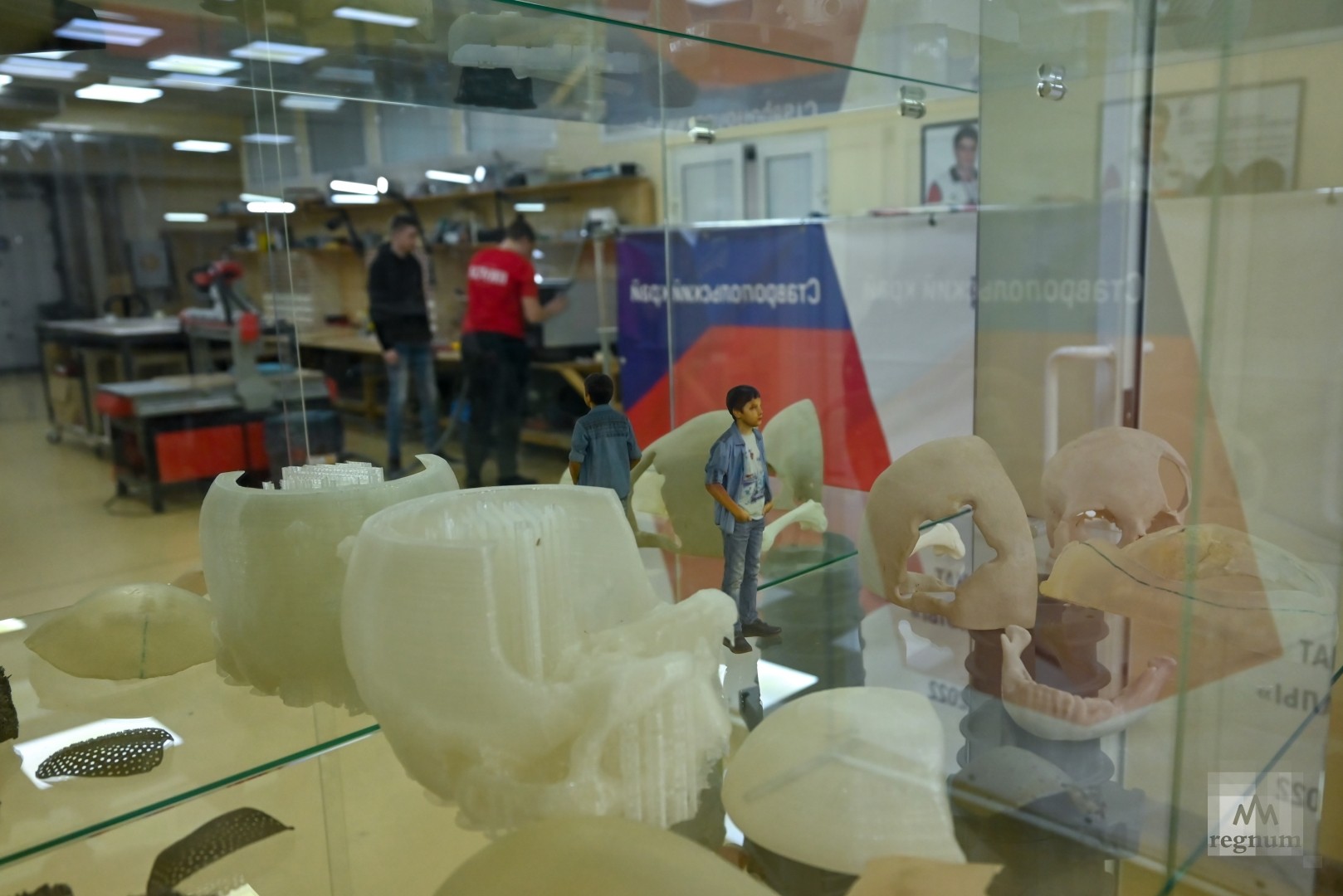 Лаборатория СтГАУ. Александр Погожев © ИА REGNUM - ИА REGNUM