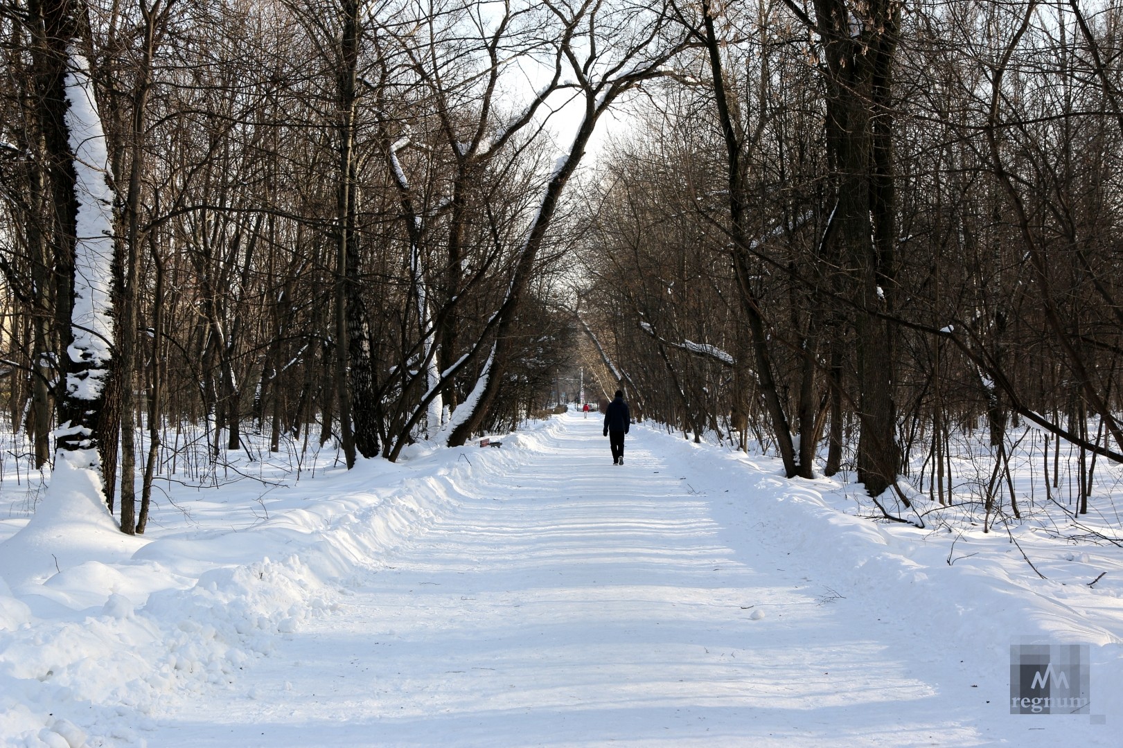 парк в кусково зимой