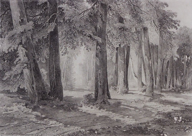 Алексей Саврасов. В парке. 1858