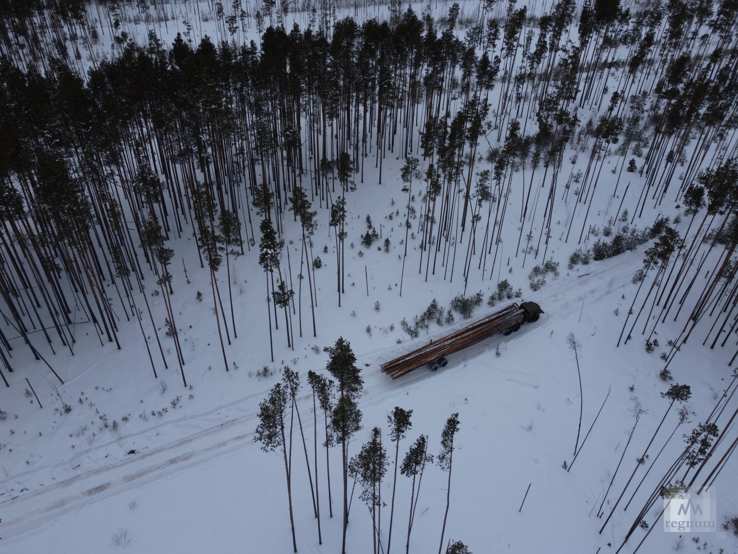20-тонная машина вывозит лес по зимнику
