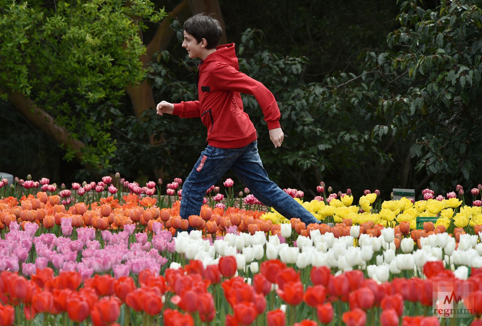 «Парад тюльпанов» в Крыму