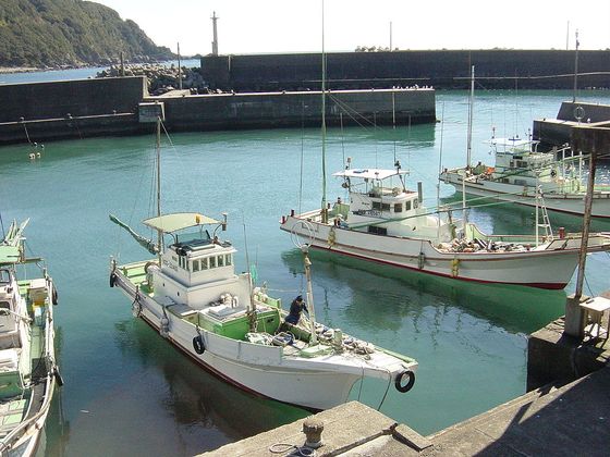 Японские рыболовные суда у пристани порта Кочи. Япония