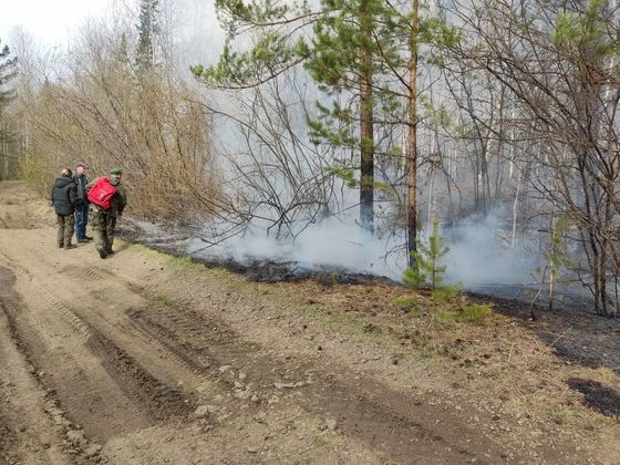 Пожар в Красноярском крае
