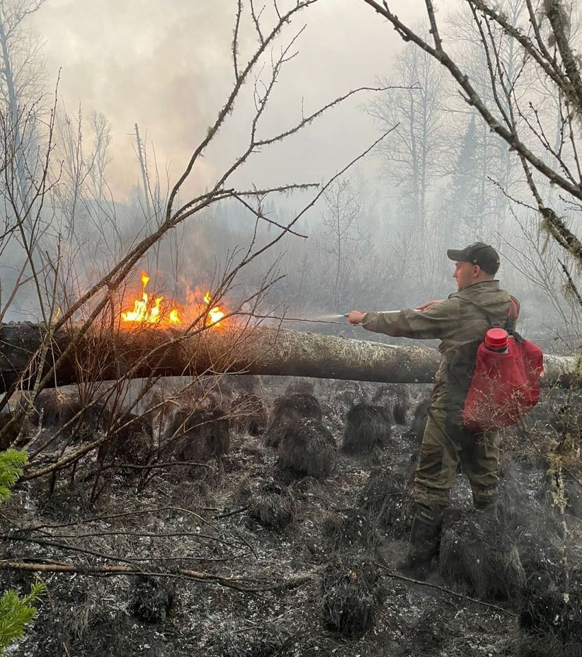 Лесные пожары в Кузбассе