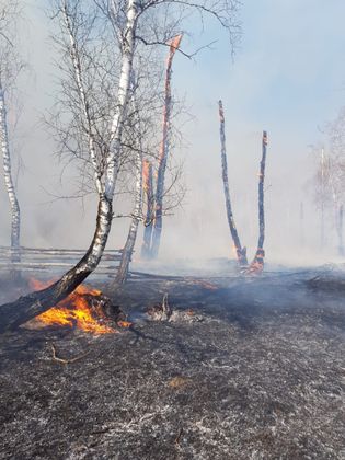 Пожары в Кузбассе