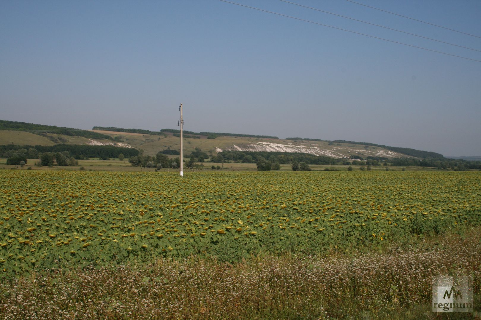 Харьковская область, по дороге в Купянск