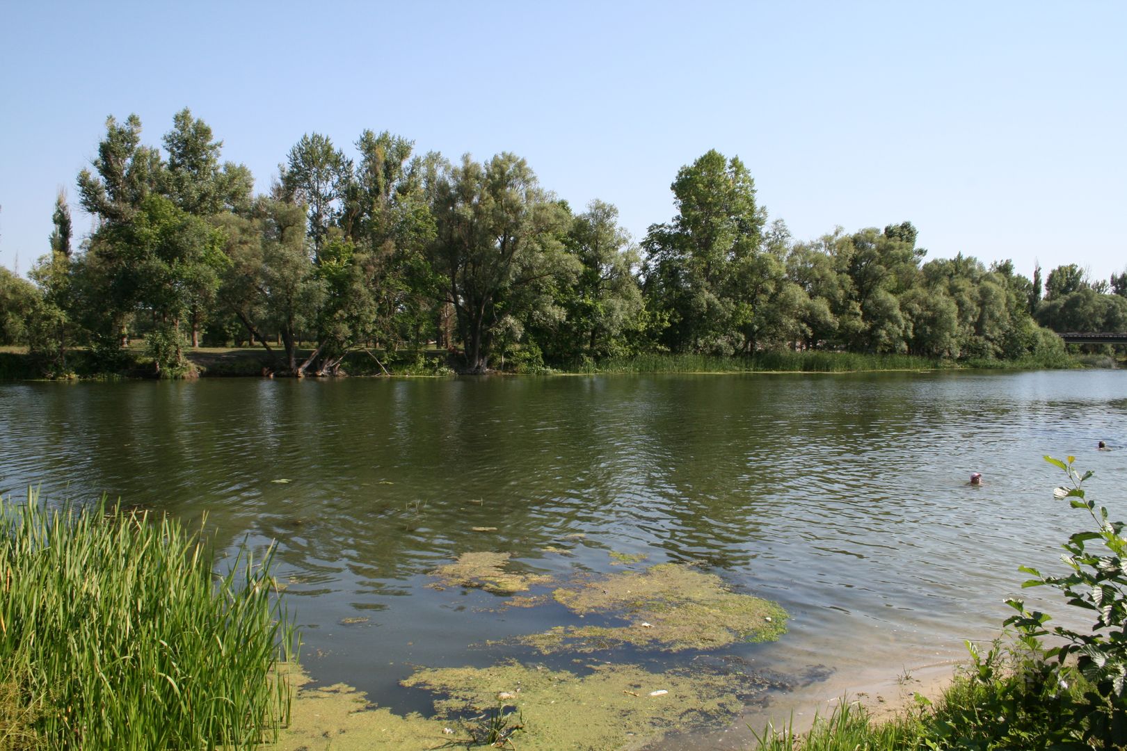 Река Оскол в Харьков области