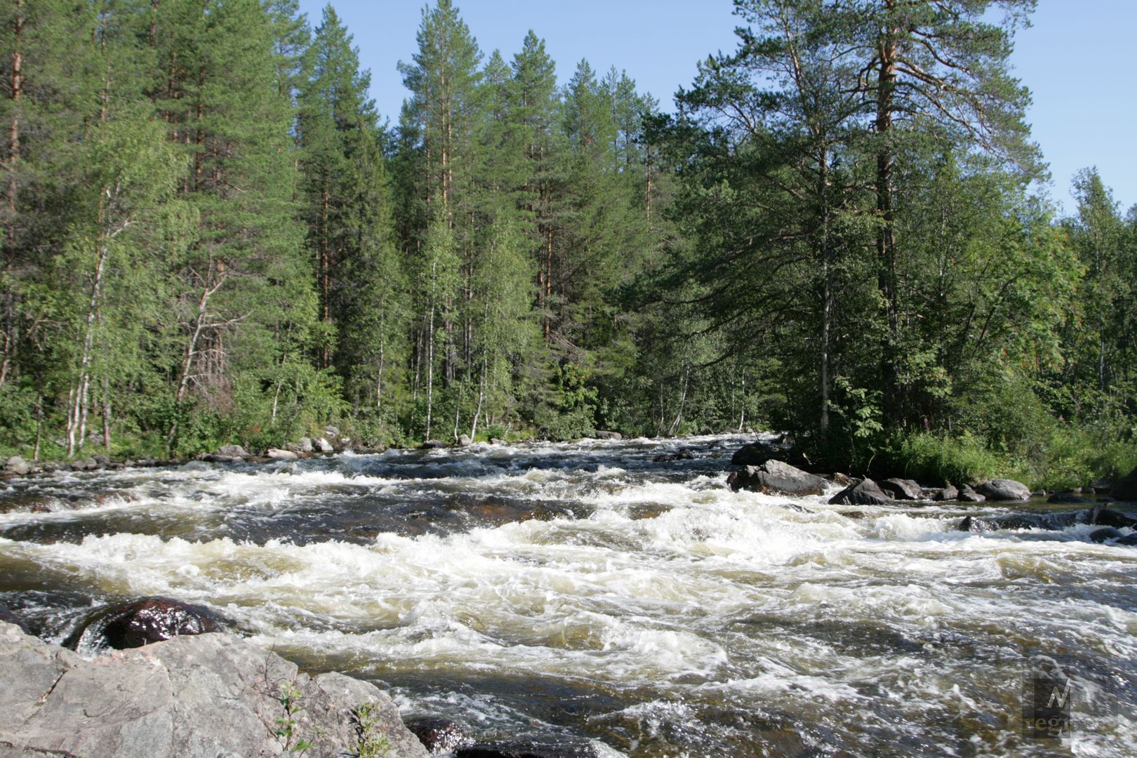 Река Колвица Кольский полуостров