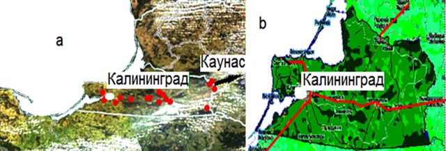 Рис. 5. (a) пожары в Калининградской области 05.05.2013; (b) карта дорог, красным фоном — генерализованные