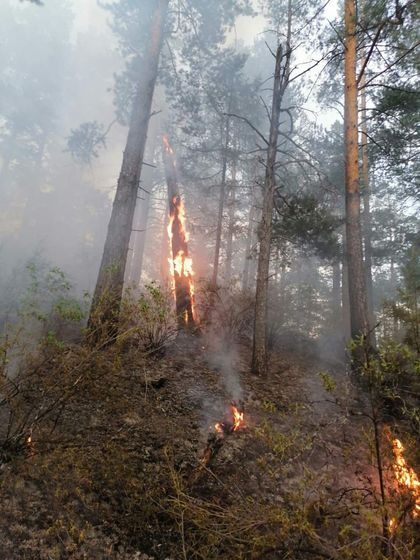 Лесной пожар в Бурятии