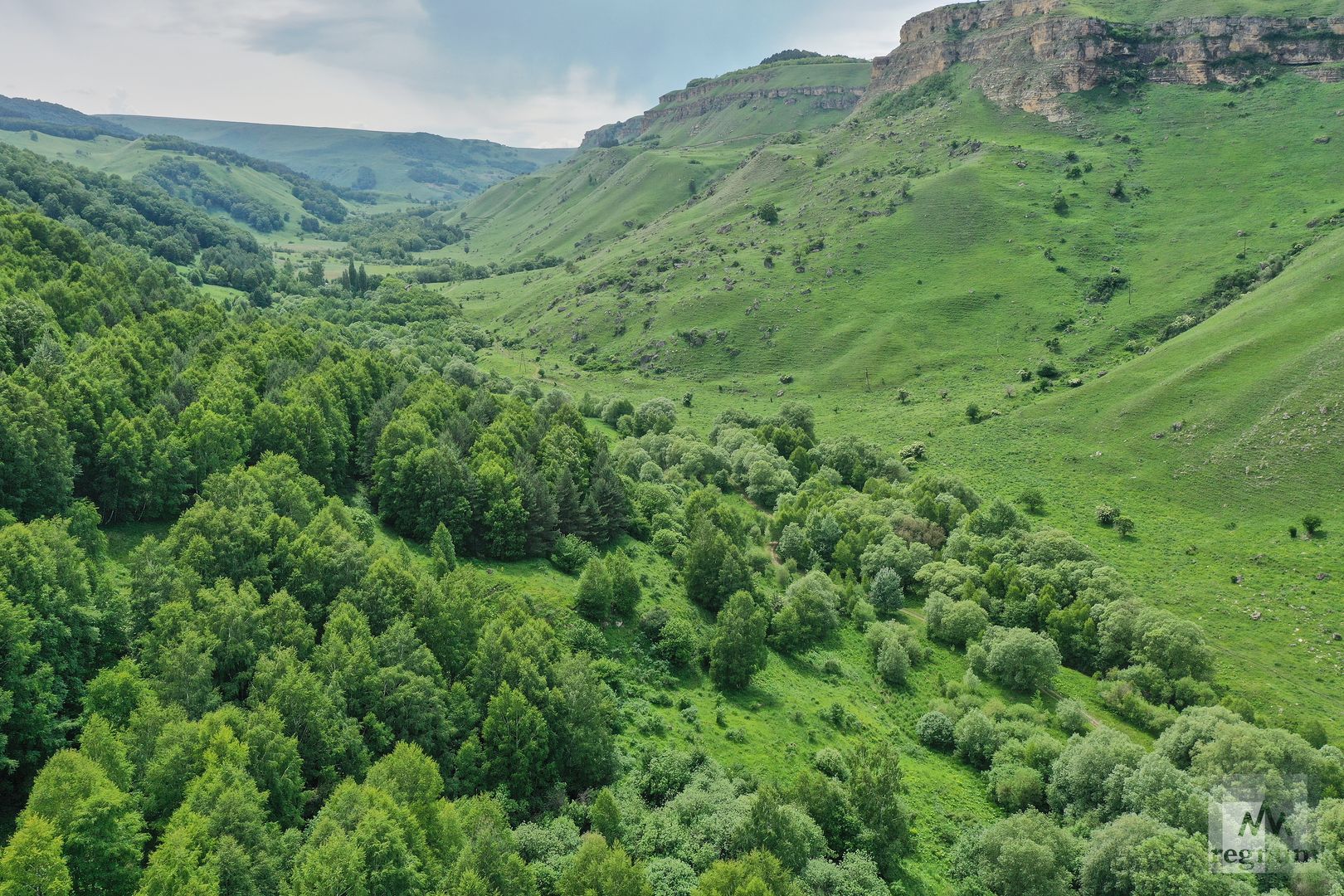 Березовское ущелье кисловодск фото