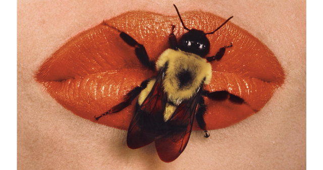 Irving Penn. Bee on lips.1995. Courtesy Частная коллекция Марианны Сардаровой