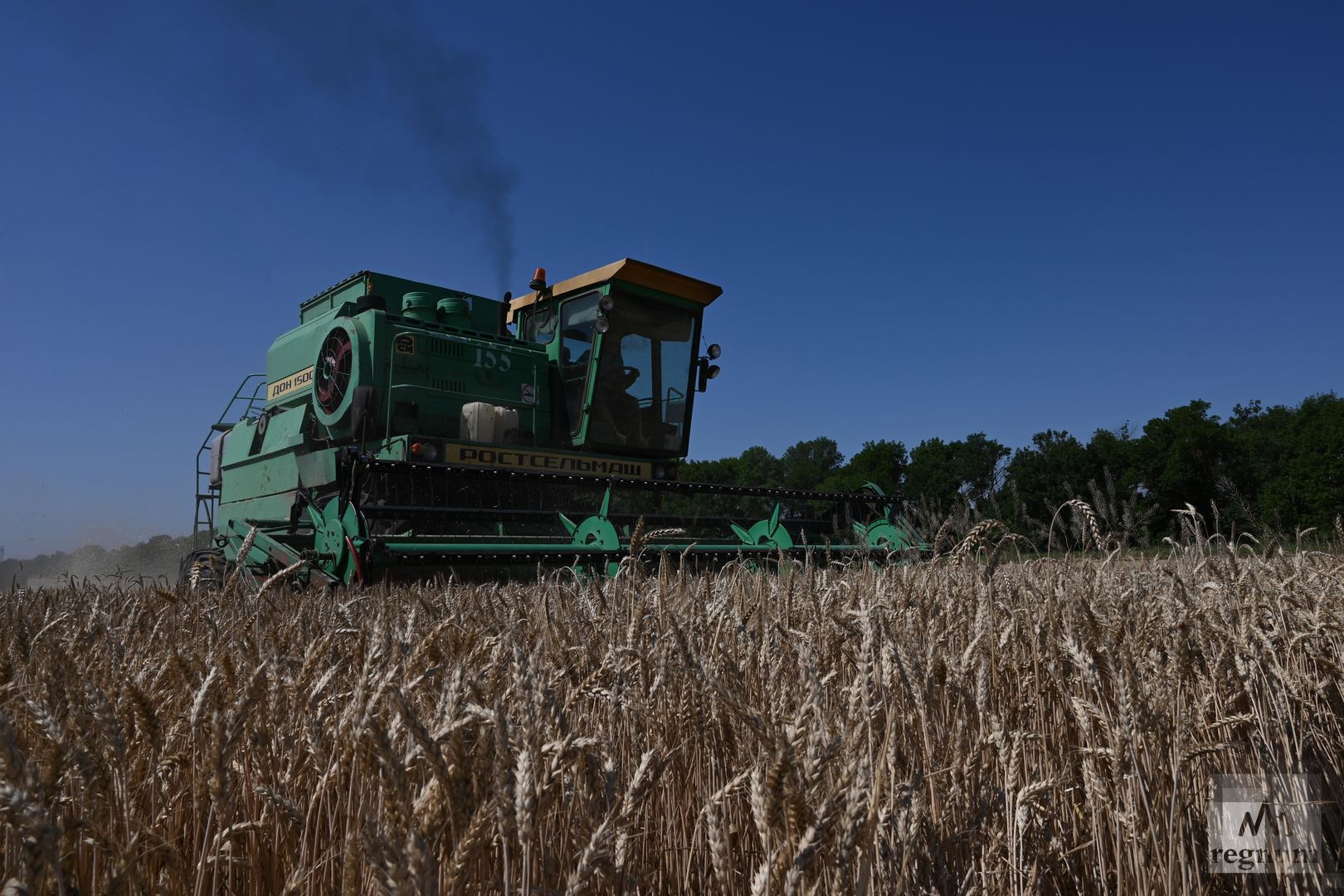 Уборка пшеницы в полях сельхозпредприятия «Радуга».
