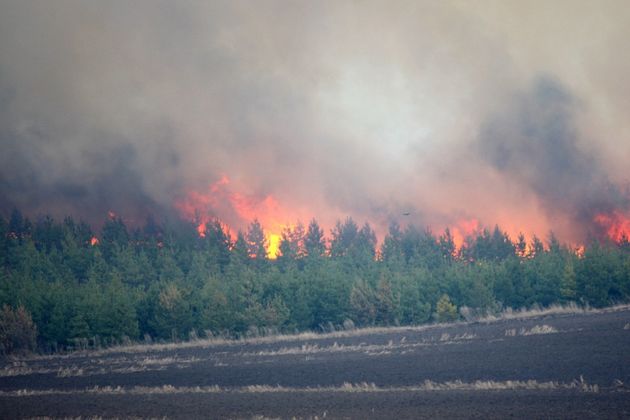 Лесной пожар в Саратовской области