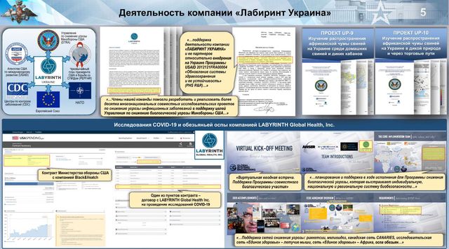 Деятельность компании «Лабиринт Украина»