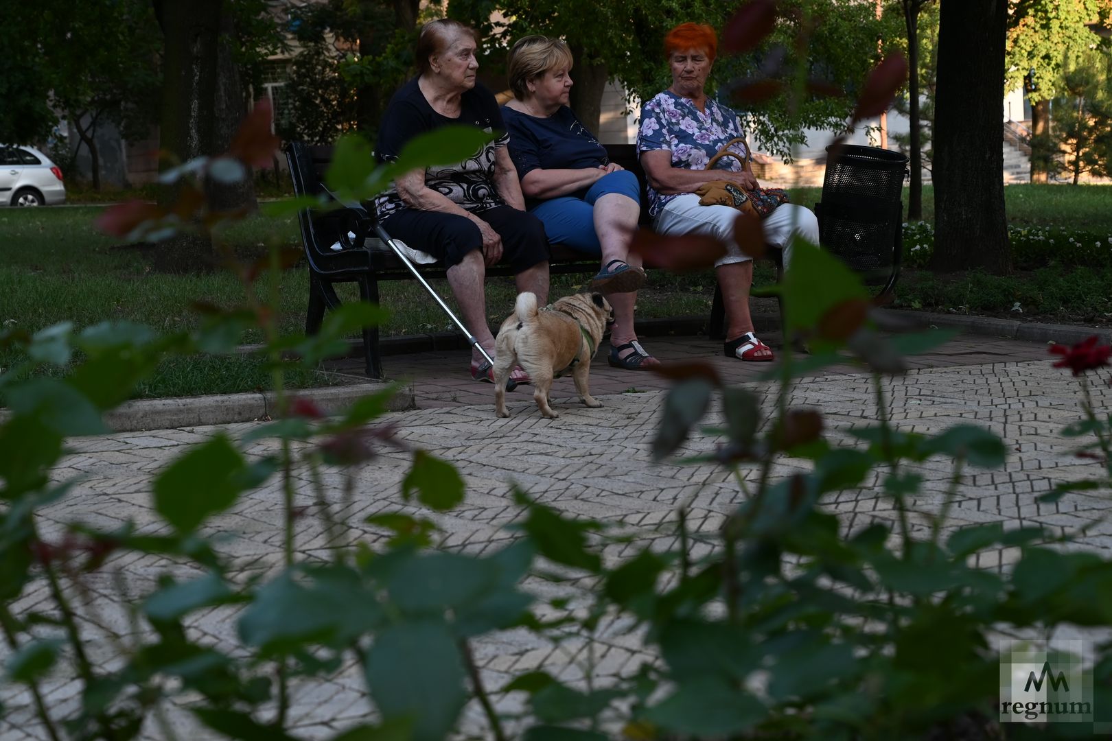 Жители Донецка в сквере на бульваре Пушкина