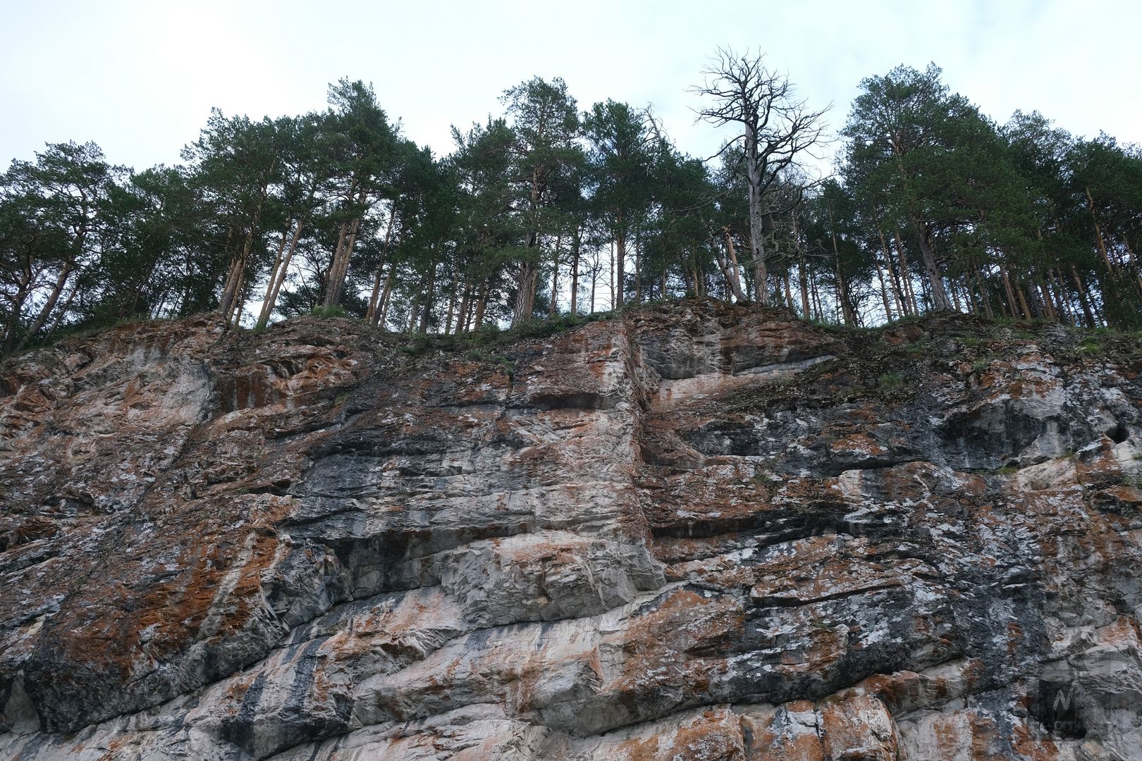 Суровая красота