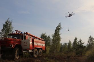 Лесной пожар в Рязанской области