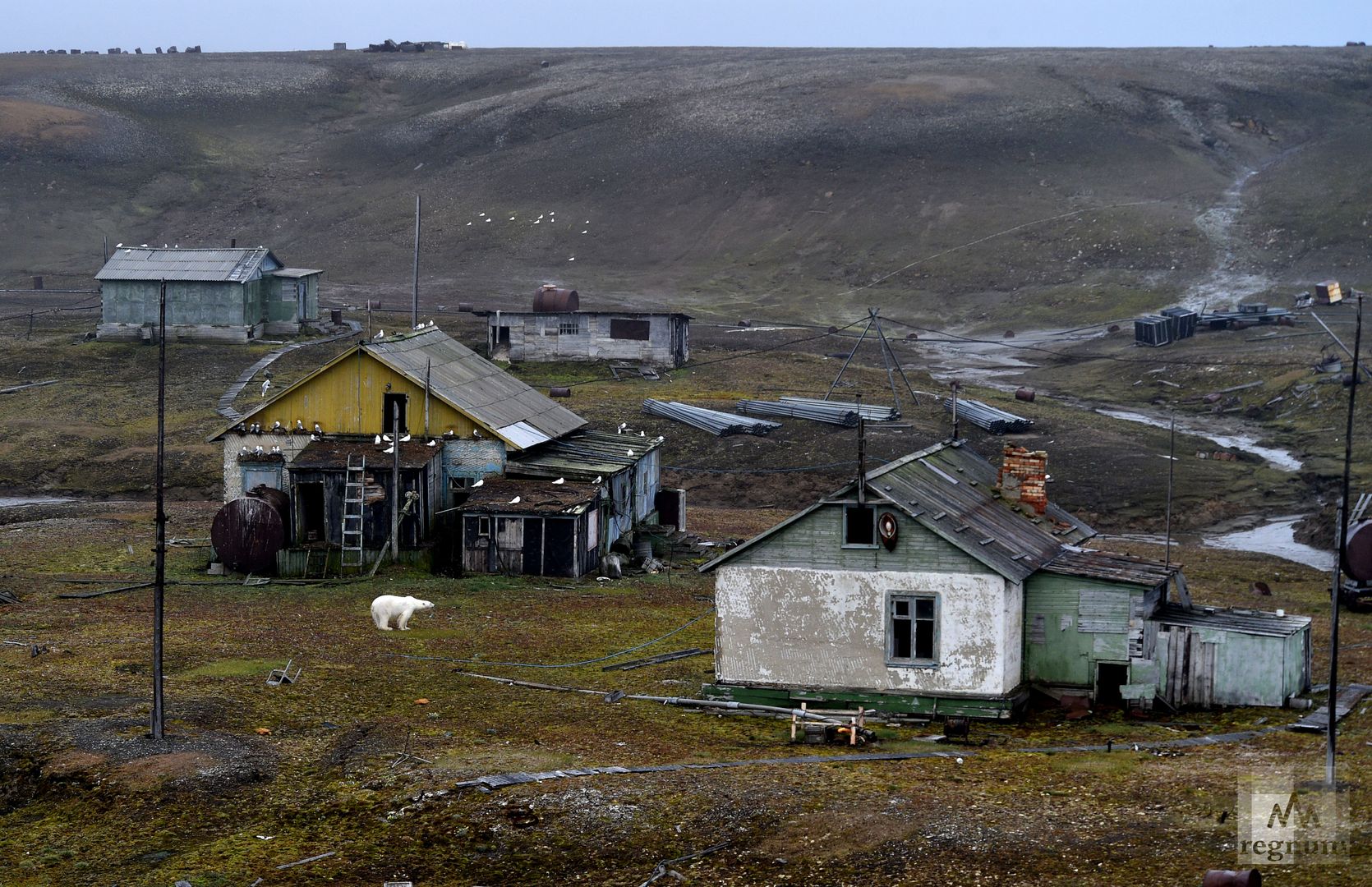 Остров уединения