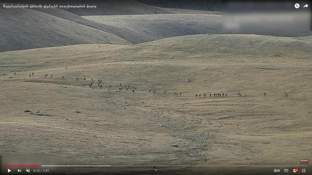 Обострение на армяно-азербайджанской границе