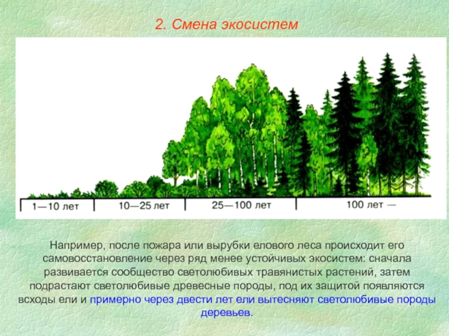 Изм лес. Смена экосистем. Изменение экосистемы. Смена биогеоценоза. Этапы смены экосистем.