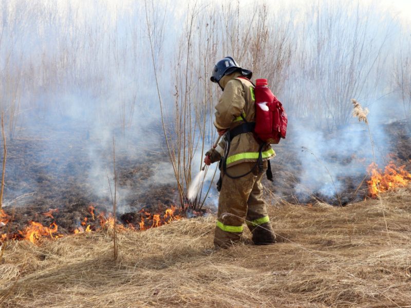 Ландшафтный пожар в Забайкальском крае