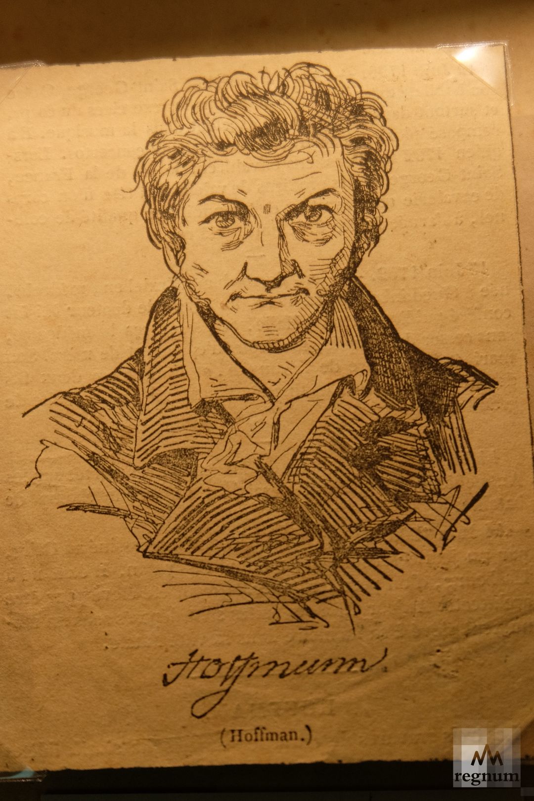 Э. Т. А. Гофман. Печать. Россиия. Начало XX века