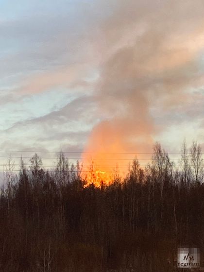 Пожар на газопроводе в Ленобласти