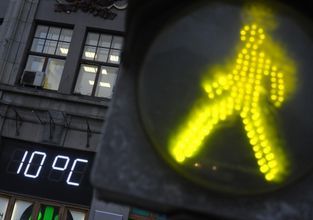 Зеленый свет